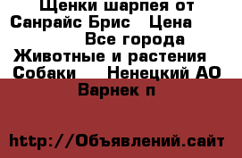 Щенки шарпея от Санрайс Брис › Цена ­ 30 000 - Все города Животные и растения » Собаки   . Ненецкий АО,Варнек п.